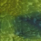 Fabric 6