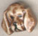 Dog Pin