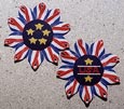 Patriotic Pins Kit